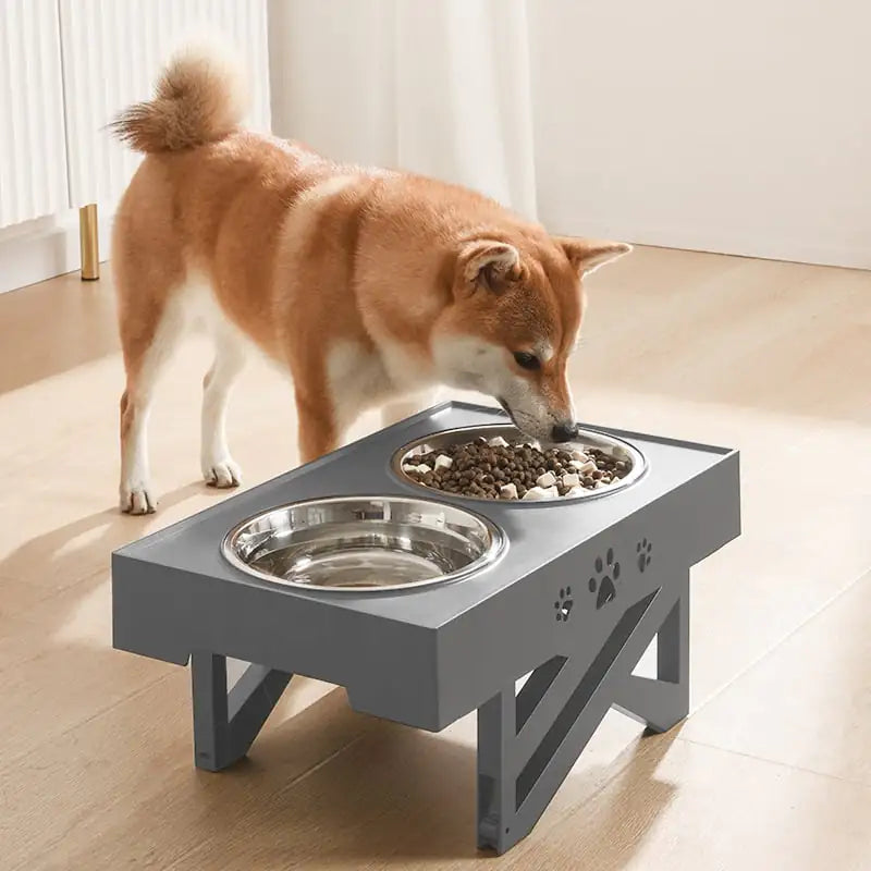 Stainless Steel Double Bowl for Slow Feeding